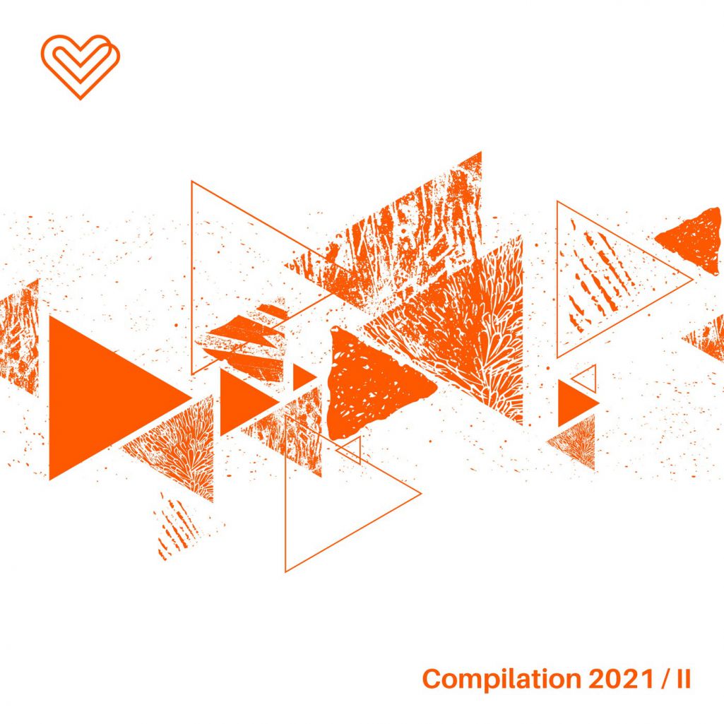 VA - Compilation 2021, Pt. 2 [ZDL002]